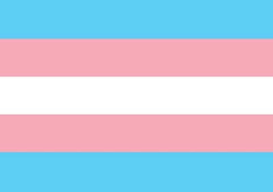 Transgender pride