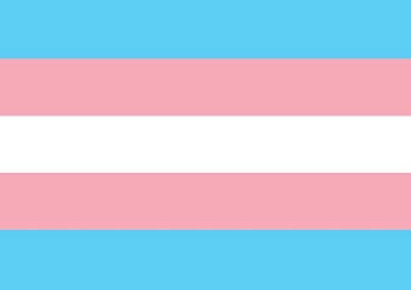 Transgender pride