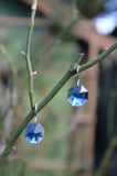 Sky Blue Moon Earrings