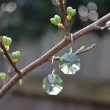 Spring Green Moon Earings