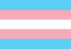 Transgender pride