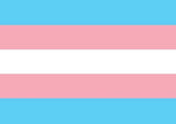 Transgender pride